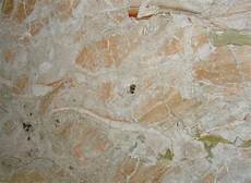 Breccia Oniciata