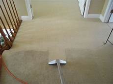 Floor Carpet Cleaning