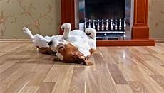 Floor Covering Systems