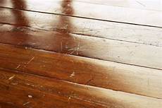 Floor Drainer