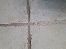 Floor Tile Chemicals