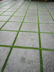 Flooring Stones