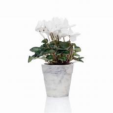 Marble Flower Pots
