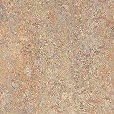 Marmoleum Donkey Island