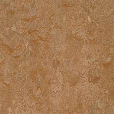 Marmoleum Home Depot