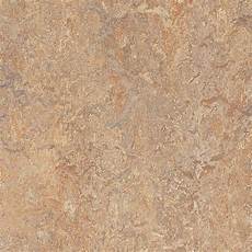 Marmoleum Lowe's