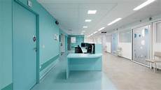 Marmoleum Vinyl
