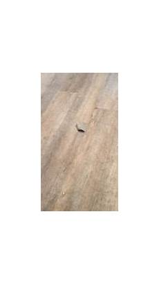 Procore Heirloom Oak