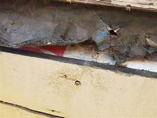 Tyvek Deck Boards