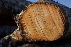 Wood Hardwood